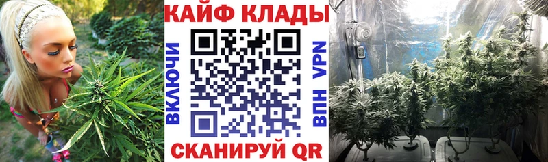 Где найти наркотики Казань MEGA tor  Мефедрон  Каннабис 