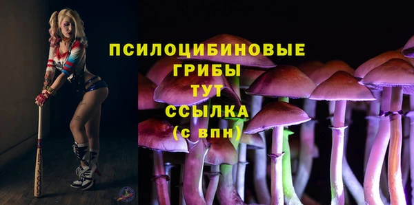 дмт Алексин