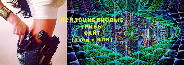 дмт Алексин