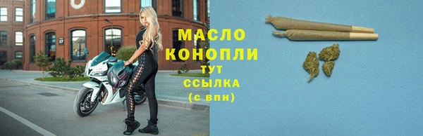 дмт Алексин