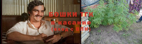 дмт Алексин