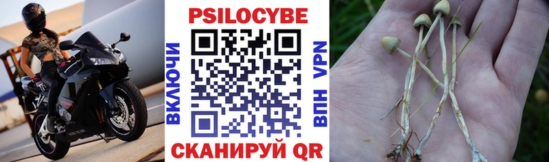 Псилоцибиновые грибы прущие грибы  магазин  наркотиков  Казань 
